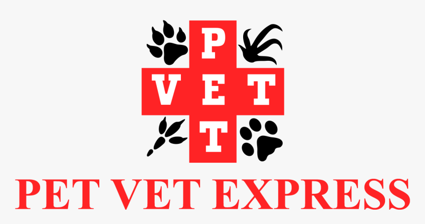 Pet Vet Express - Graphic Design, HD Png Download, Free Download