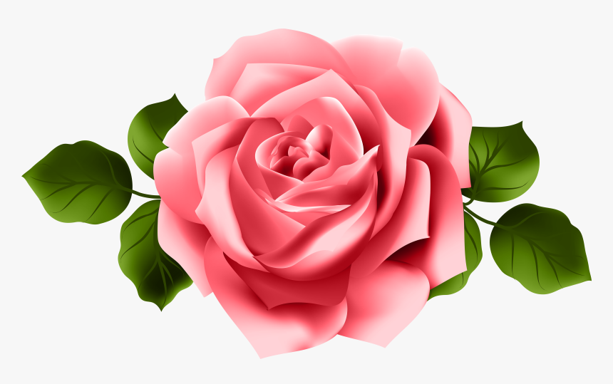 Pink And Red Rose Png , Transparent Cartoons - Pink Red Rose Png, Png Download, Free Download