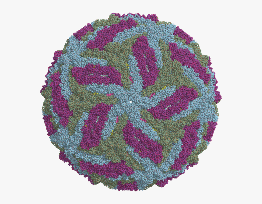 Zika Virus Cryo-em Structure - Cryo Em Virus Structures, HD Png Download, Free Download