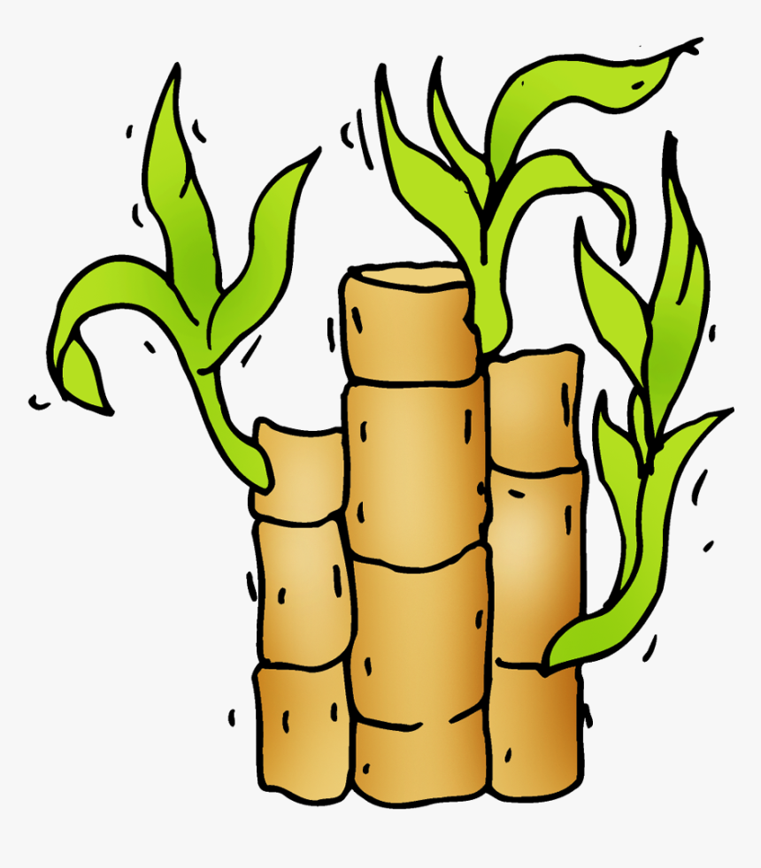Transparent Bamboo Clipart, HD Png Download, Free Download