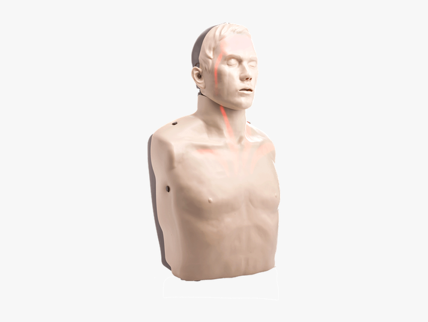 Cpr Manikin For Sale, HD Png Download, Free Download