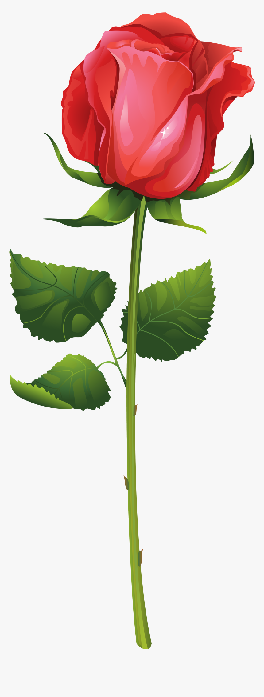 Rose With Stem Png Clip Art Imageu200b Gallery Yopriceville - Red Rose Illustration Vector, Transparent Png, Free Download