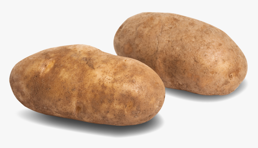 Rawrussets-web - Raw Potato Image Transparent, HD Png Download, Free Download