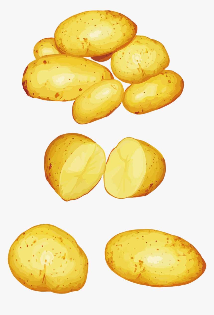 Potatoes Png Clipart - Vector, Transparent Png, Free Download
