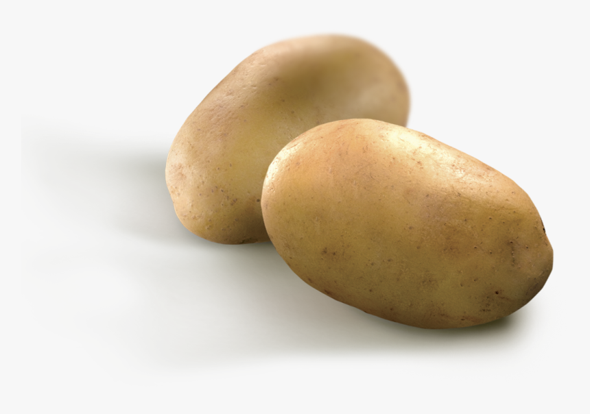 Yukon Gold Potato, HD Png Download, Free Download