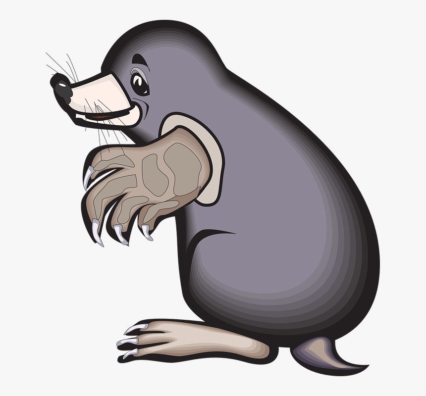 Mole Animal Clip Art, HD Png Download, Free Download