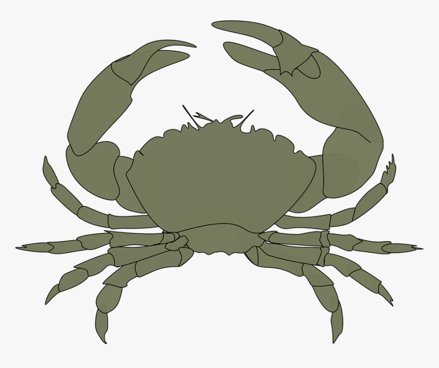 Crab In Water Png - Crab Clipart Black, Transparent Png, Free Download