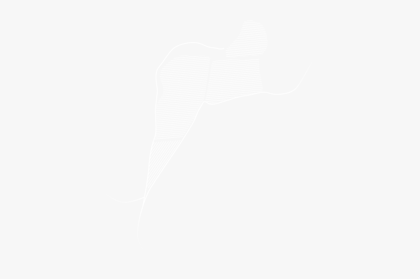 Núria Claverol - Johns Hopkins White Logo, HD Png Download, Free Download