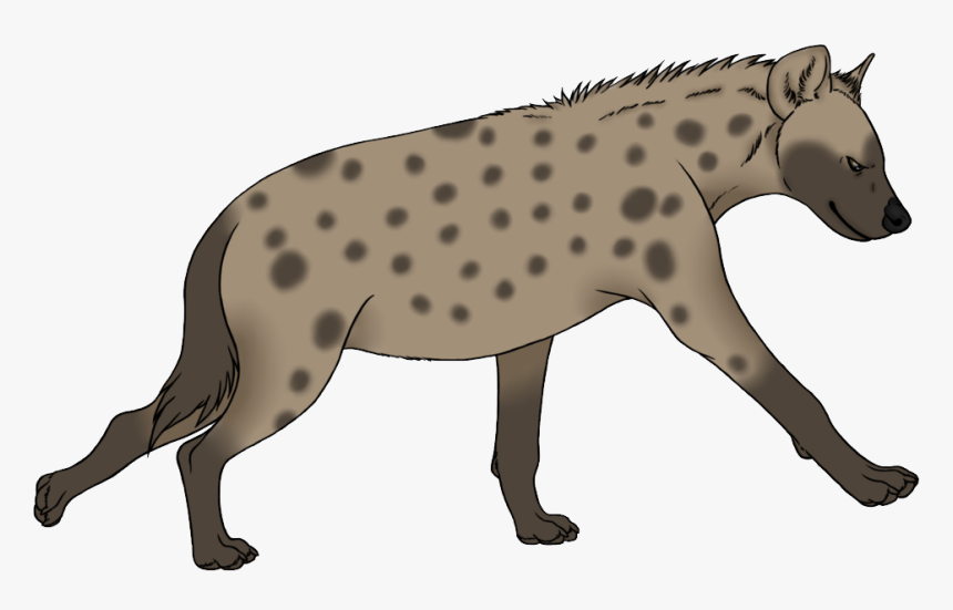 Hyena Png - Hyena Clipart Png, Transparent Png, Free Download