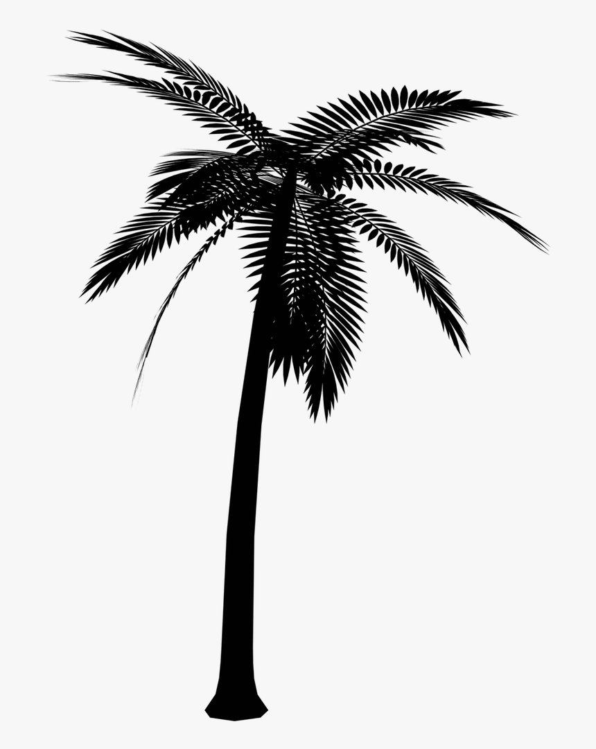 Asian Palmyra Palm Silhouette Vector Graphics Portable - Vector Palm Tree Png, Transparent Png, Free Download