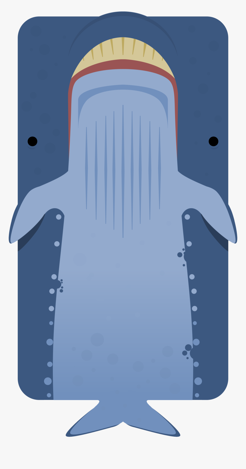 Deeeep Io Blue Whale, HD Png Download, Free Download