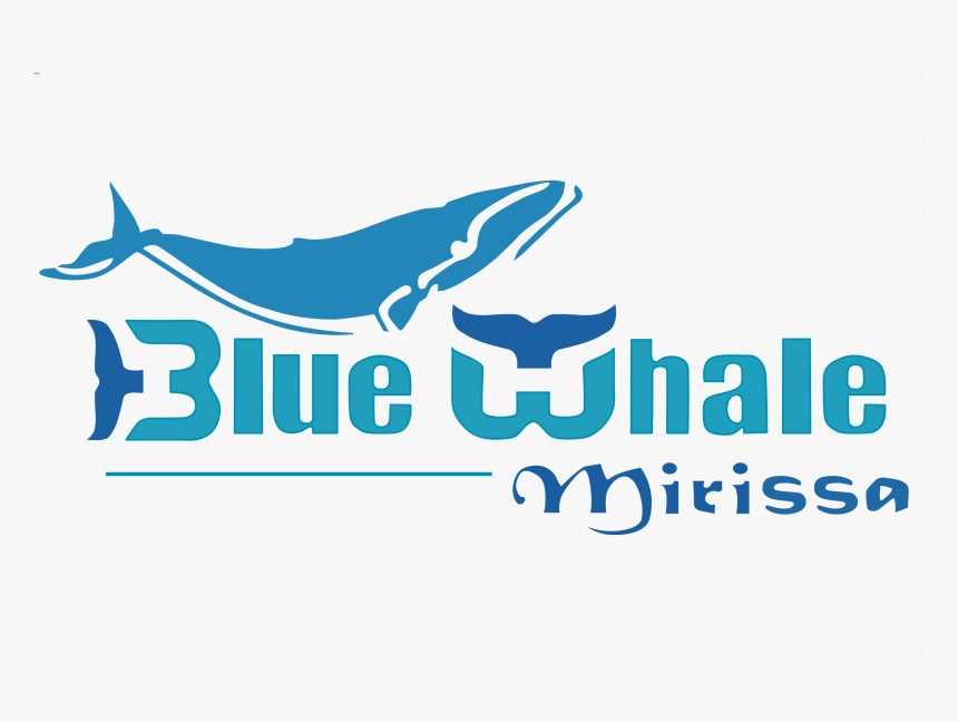 Blue Whales Mirissa - Graphic Design, HD Png Download, Free Download