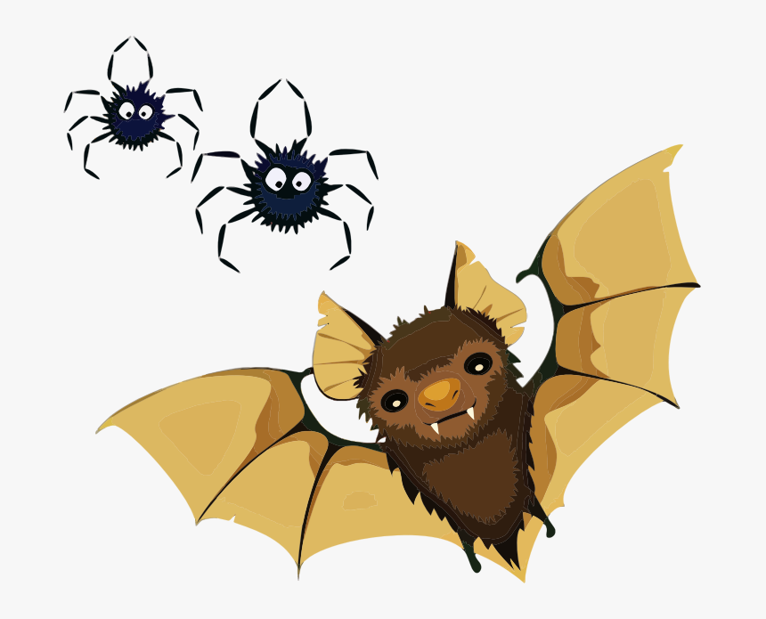 Vampire Bat And Spiders - Little Brown Bat Clipart, HD Png Download, Free Download