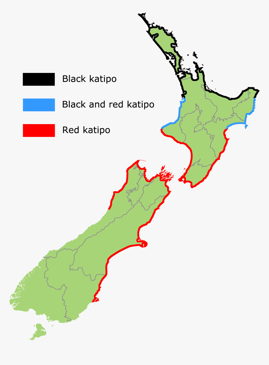 Range Of Black And Red Forms Of Latrodectus Katipo - Kakapo Spider, HD Png Download, Free Download