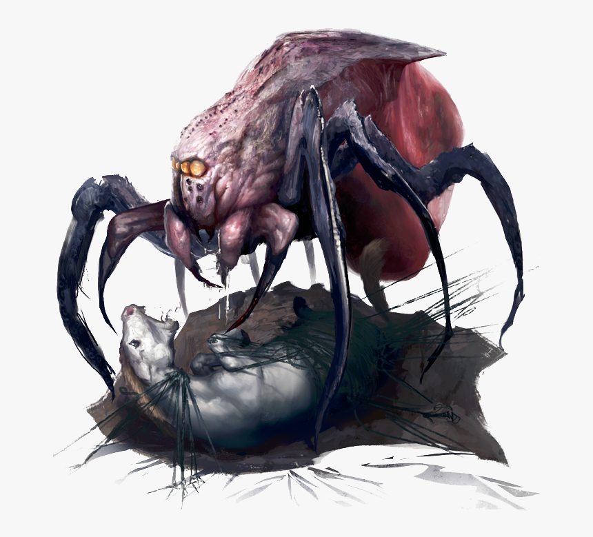 Leng - Spider - 01 - Illustration , Png Download - Pathfinder Leng Spider, Transparent Png, Free Download