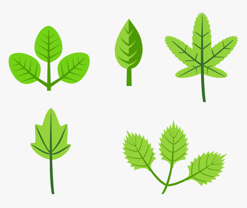 Clipart Of Herb And Rg - Leaves Clip Art, HD Png Download, Free Download