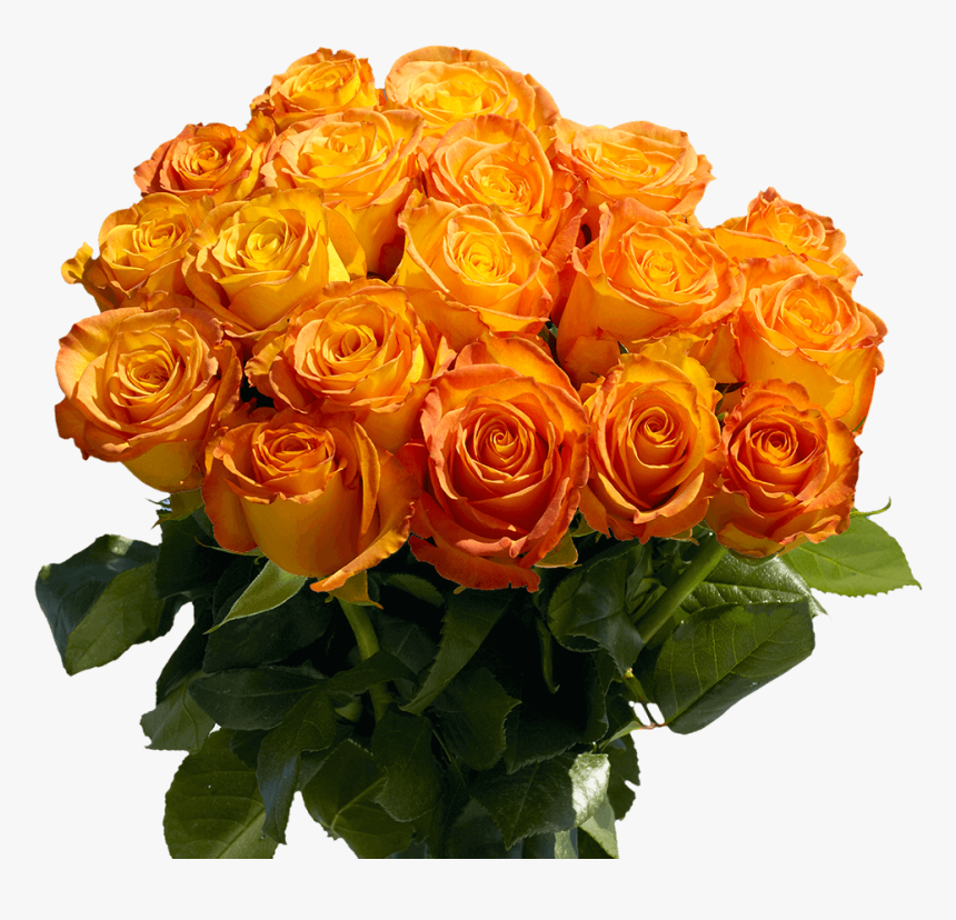 Gorgeous Yellow Roses With Orange Tips - Floribunda, HD Png Download, Free Download