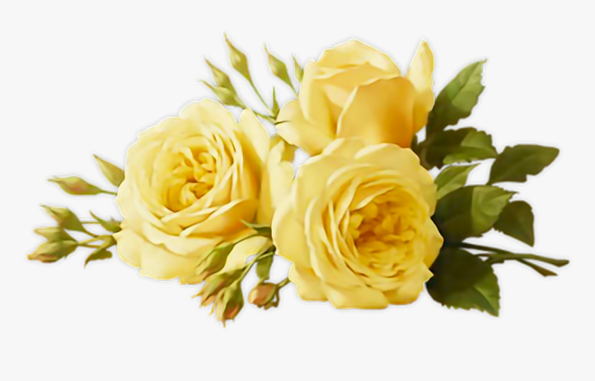 #yellow💛 #roses 🌹 #leaves #3 #green💚 - Yellow Flower Aesthetic Sticker, HD Png Download, Free Download