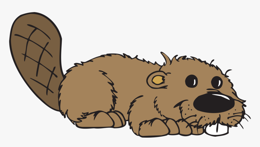 Beaver Png - Beaver Clipart Transparent, Png Download, Free Download