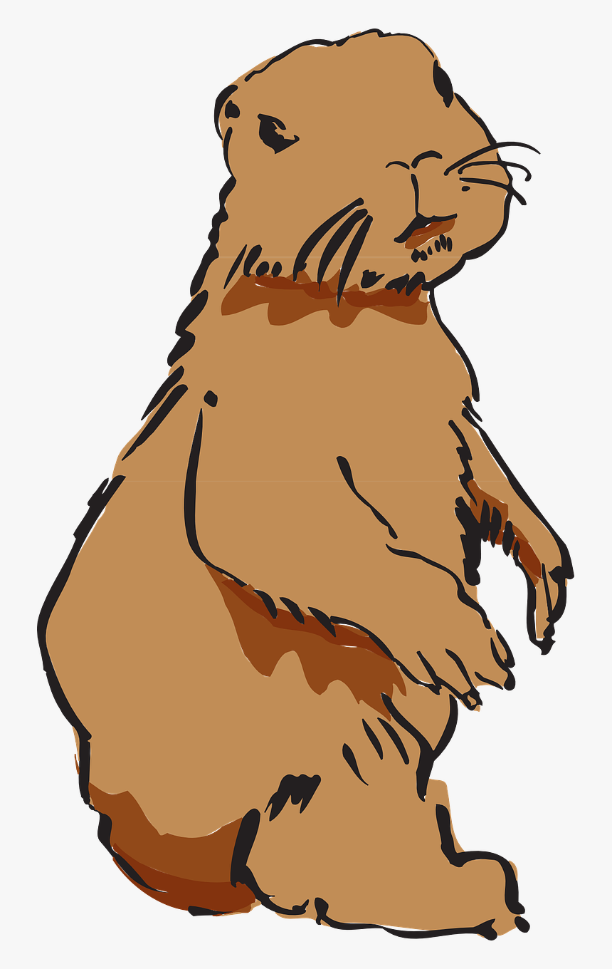 Beaver Working Clipart Png, Transparent Png, Free Download