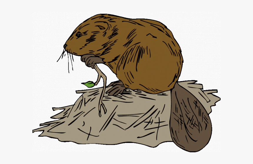 Ski Lodge Clipart Cartoon - Beaver Dam Clipart, HD Png Download is free tra...