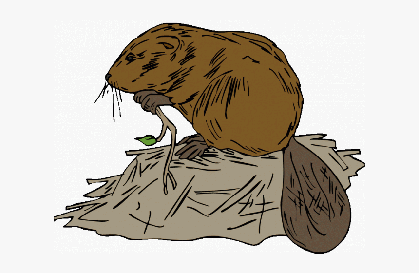 Ski Lodge Clipart Cartoon - Beaver Dam Clipart, HD Png Download, Free Download