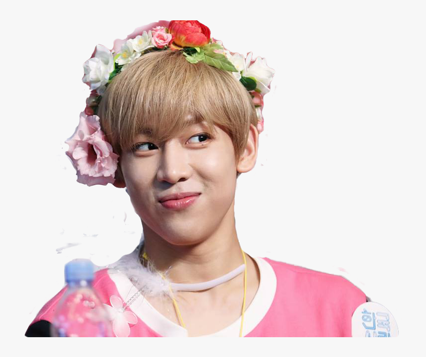 Png, Bambam, And Got7 Image - Got7 Jackson Flower Crown, Transparent Png, Free Download