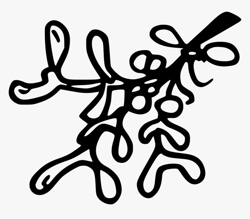 Mistletoe Twig - Line Art, HD Png Download, Free Download