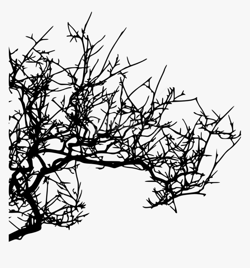 Free Png Tree Branch Png Images Transparent - Tree Branch Png Hd Texture, Png Download, Free Download