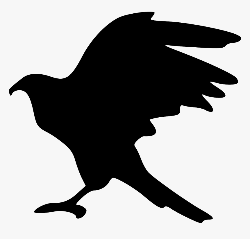 Eagle Bird Flying Free Photo - Eagle Bird Silhouette, HD Png Download, Free Download