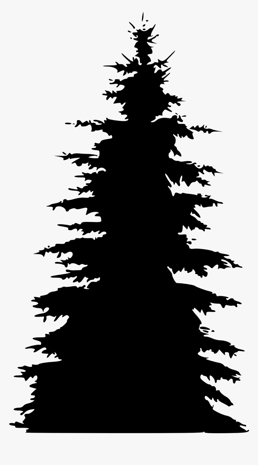 Pine Fir Spruce Tree Silhouette - Transparent Pine Tree Clipart Silhouette, HD Png Download, Free Download