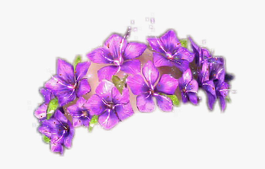 Gilliflower, HD Png Download, Free Download