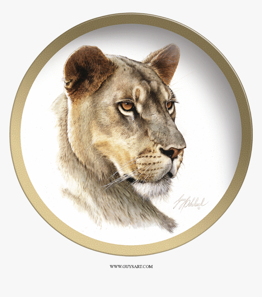 Lioness Head Plate Collectable Plate By Guy Coheleach - Lioness Head, HD Png Download, Free Download