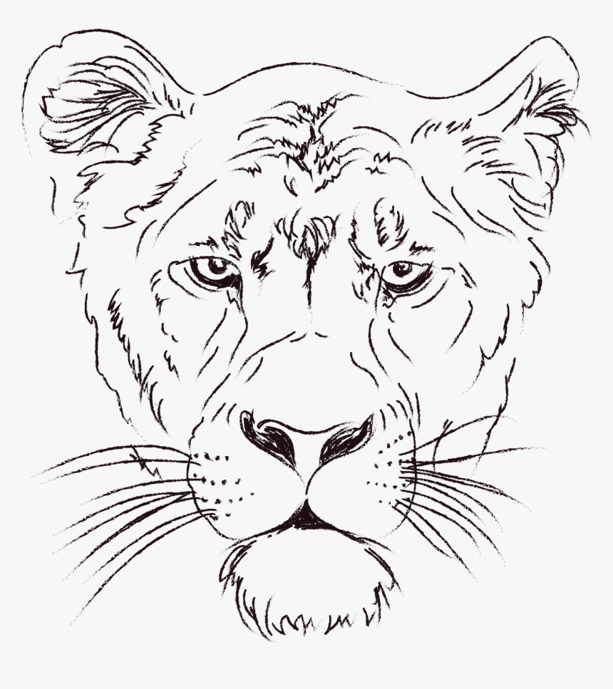 Animal Face Line Art, HD Png Download, Free Download