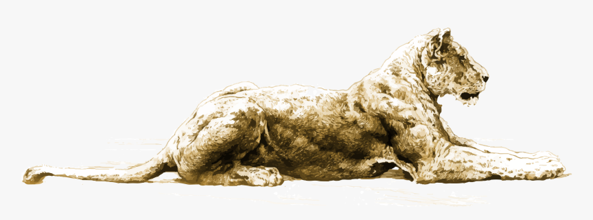 Lioness - Hippopotamus, HD Png Download, Free Download