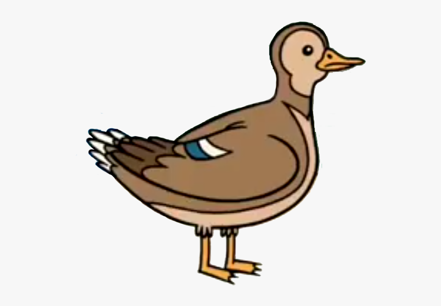 Regular Show Wiki - Regular Show Duck, HD Png Download, Free Download