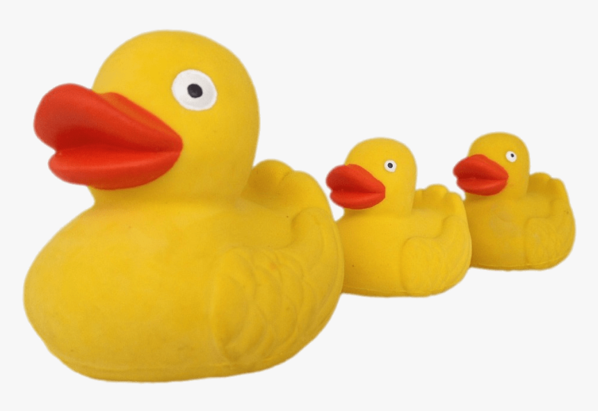 Rubber Ducks , Png Download - Real Rubber Duck Family Yellow, Transparent Png, Free Download