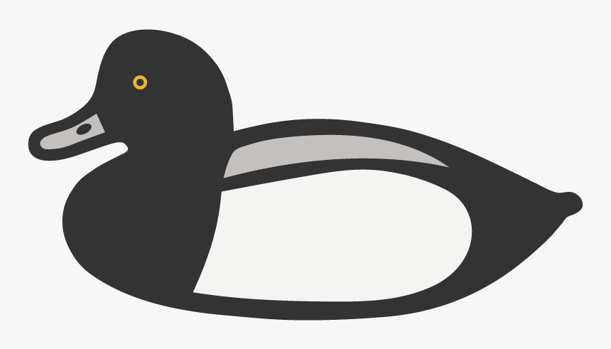 Ducks Png, Transparent Png, Free Download