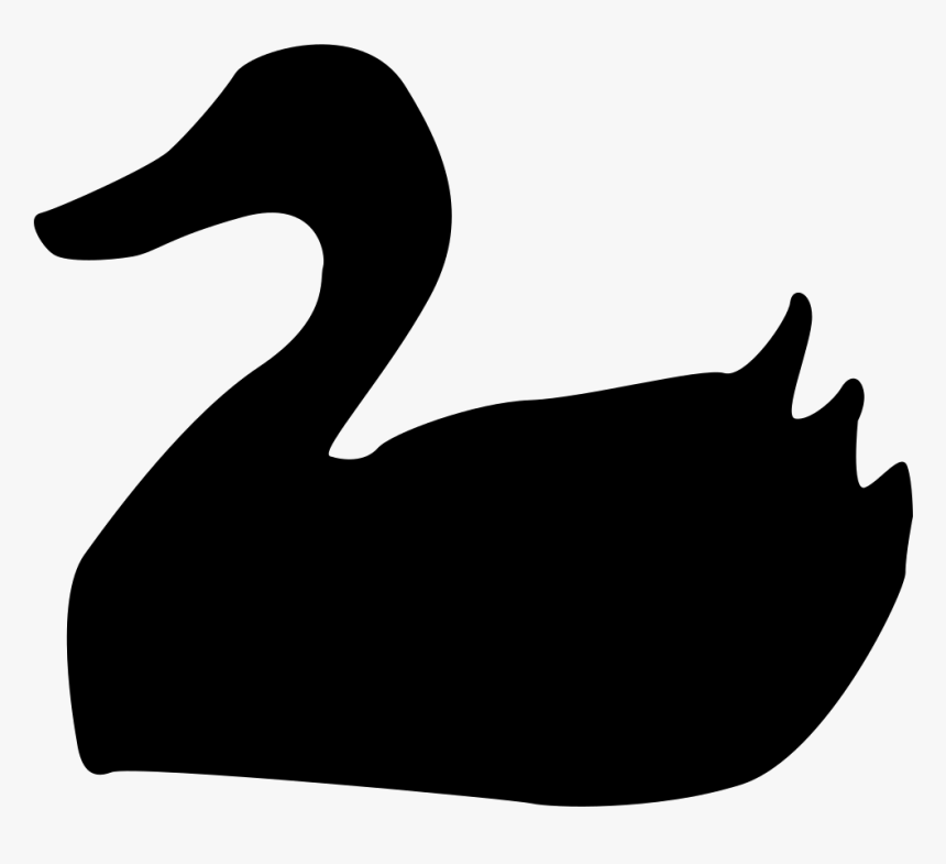 Duck, HD Png Download, Free Download