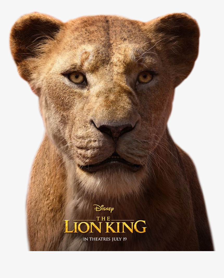 #sarabi #thelionking #lionking #disney #lion #lioness - Roi Lion 2019 Personnage, HD Png Download, Free Download