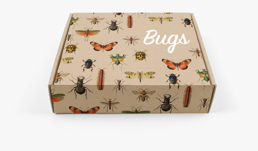 Bugs, HD Png Download, Free Download