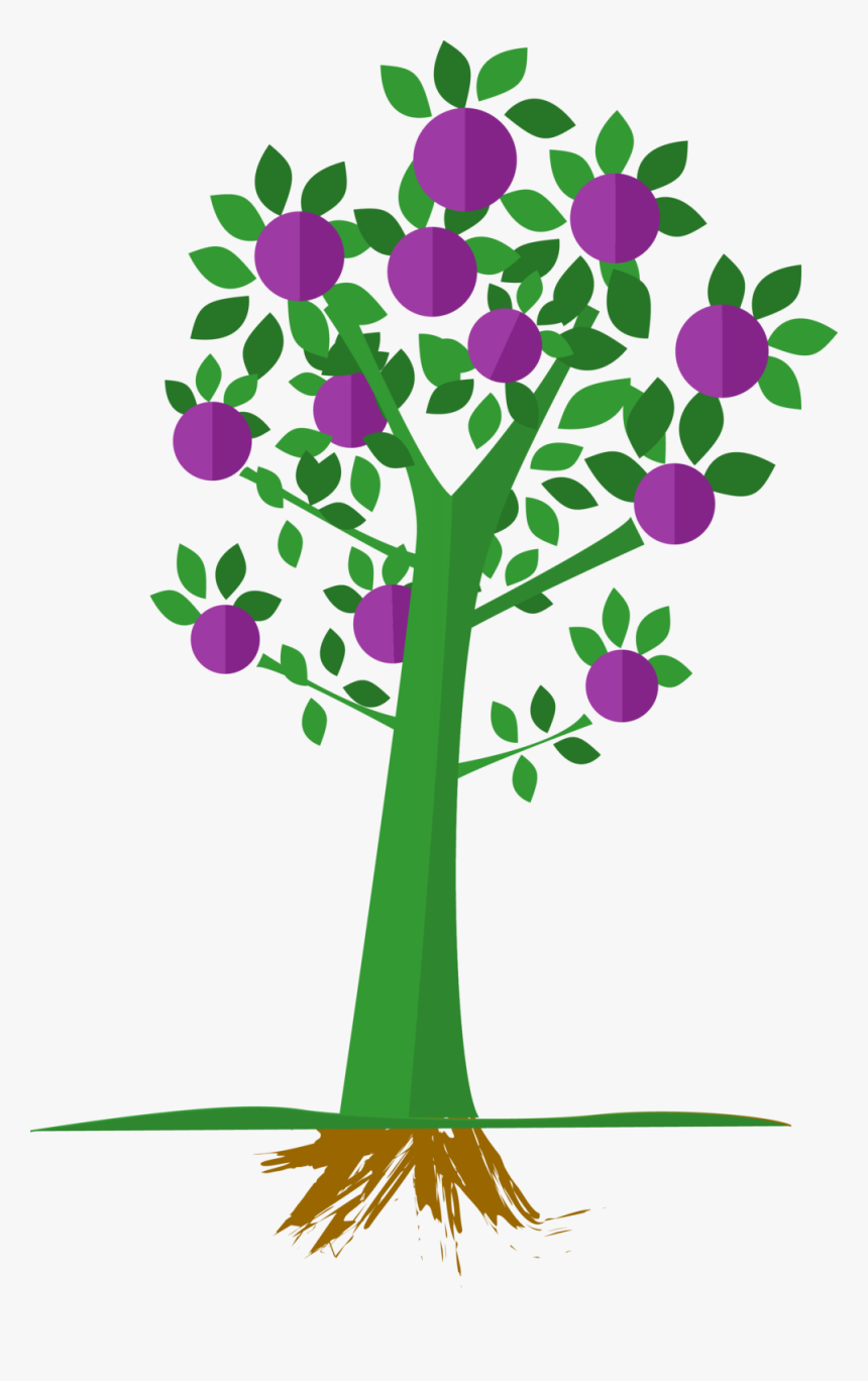 Plum-tree - Plum Tree Png, Transparent Png, Free Download