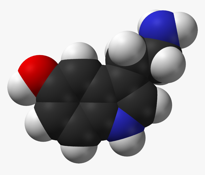 Serotonin Spartan Hf Based On Xtal 3d Sf Web - Serotonin Space Filling Model, HD Png Download, Free Download