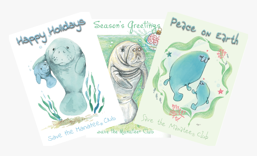 Manatee Holiday Cards - Manatee, HD Png Download, Free Download