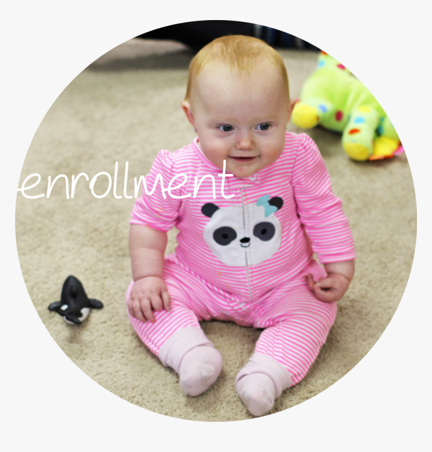 Img 9746-enrollment2 - Toddler, HD Png Download, Free Download