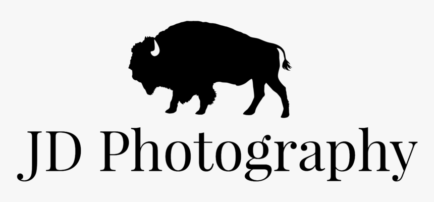 Jd Photography Logo Black, HD Png Download, Free Download