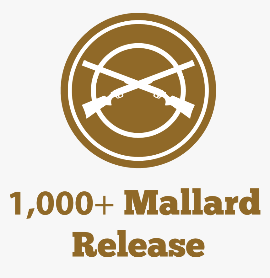 M&m 1000 Mallard Release Icon - Circle, HD Png Download, Free Download