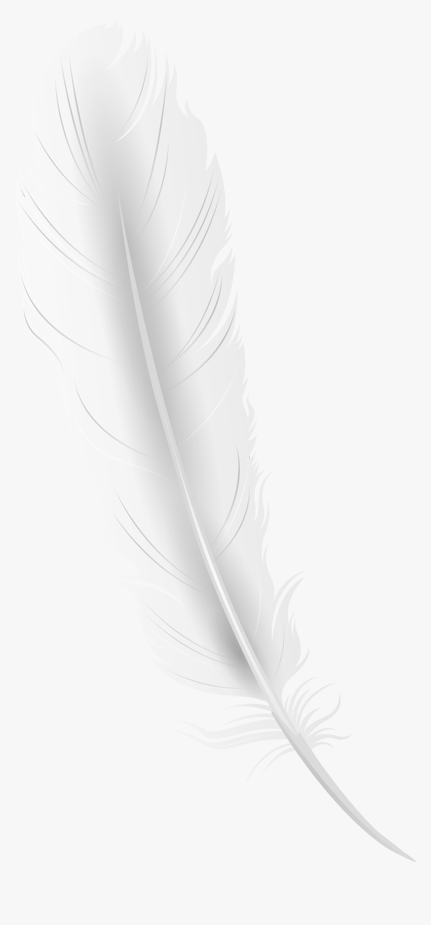 Transparent Quill Pen Clipart - White Feather Png, Png Download, Free Download