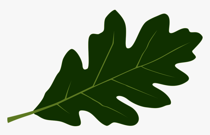 Leaf, HD Png Download, Free Download