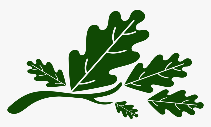 Five Oaks Leaves, HD Png Download, Free Download